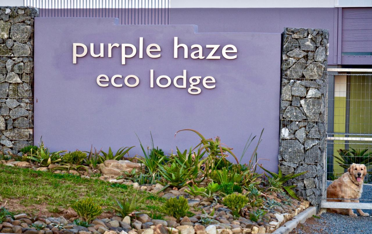 Purple Haze Eco Lodge Chintsa Exterior photo